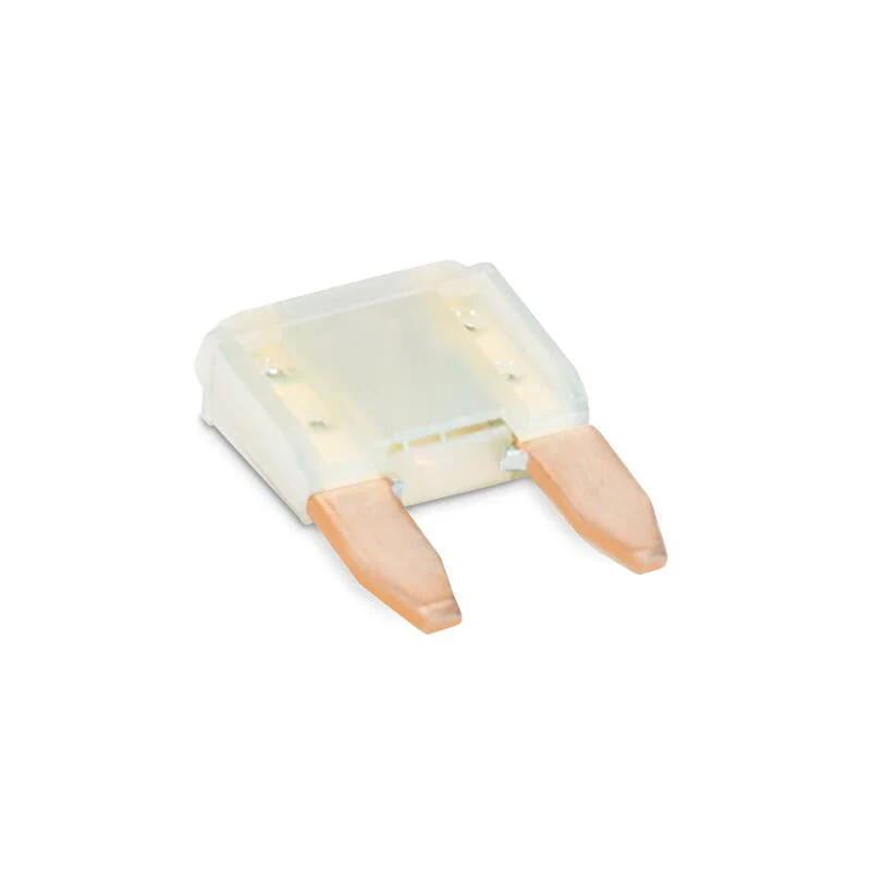 Dometic 90145 2 Amp Fuse Mini Pair