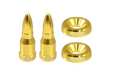 License Plate Mounting Hardware True Spike LPH005GD True Spike, Standard, Gold, Bullet Style