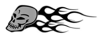 Trimbrite T1952 Skull Decal
