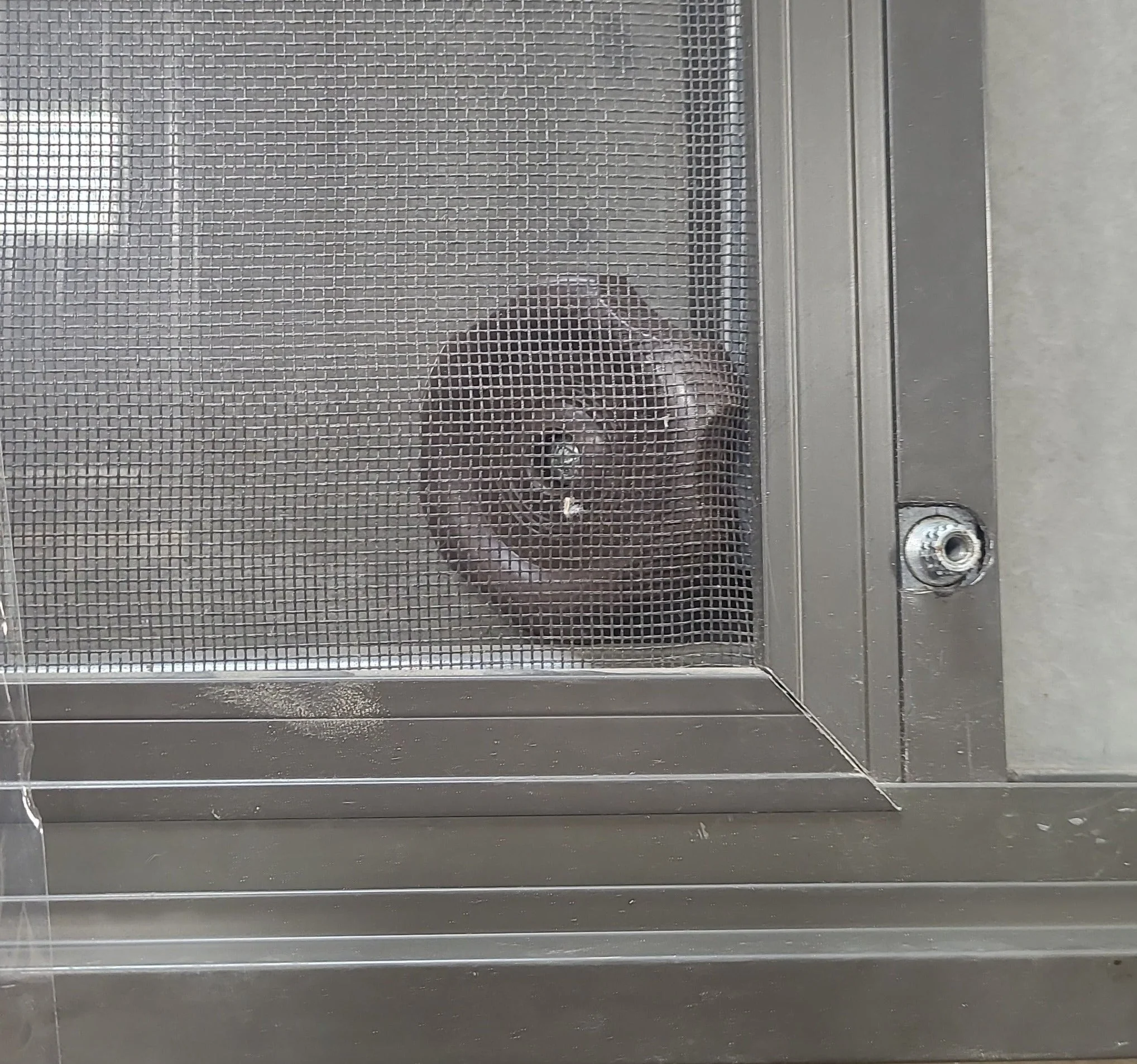 Used Black Radius Emergency Opening Window : 49 3/4" W x 19 1/2" H x 1 7/8" D - Image 7