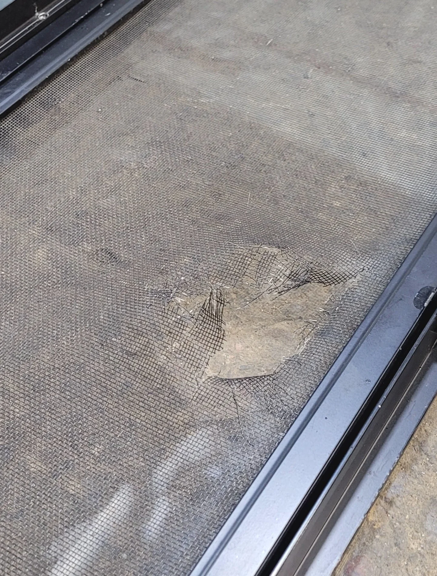 Used Black Radius Opening Window : 24 1/4" W x 25 3/4" H x 1 3/4" - Image 8