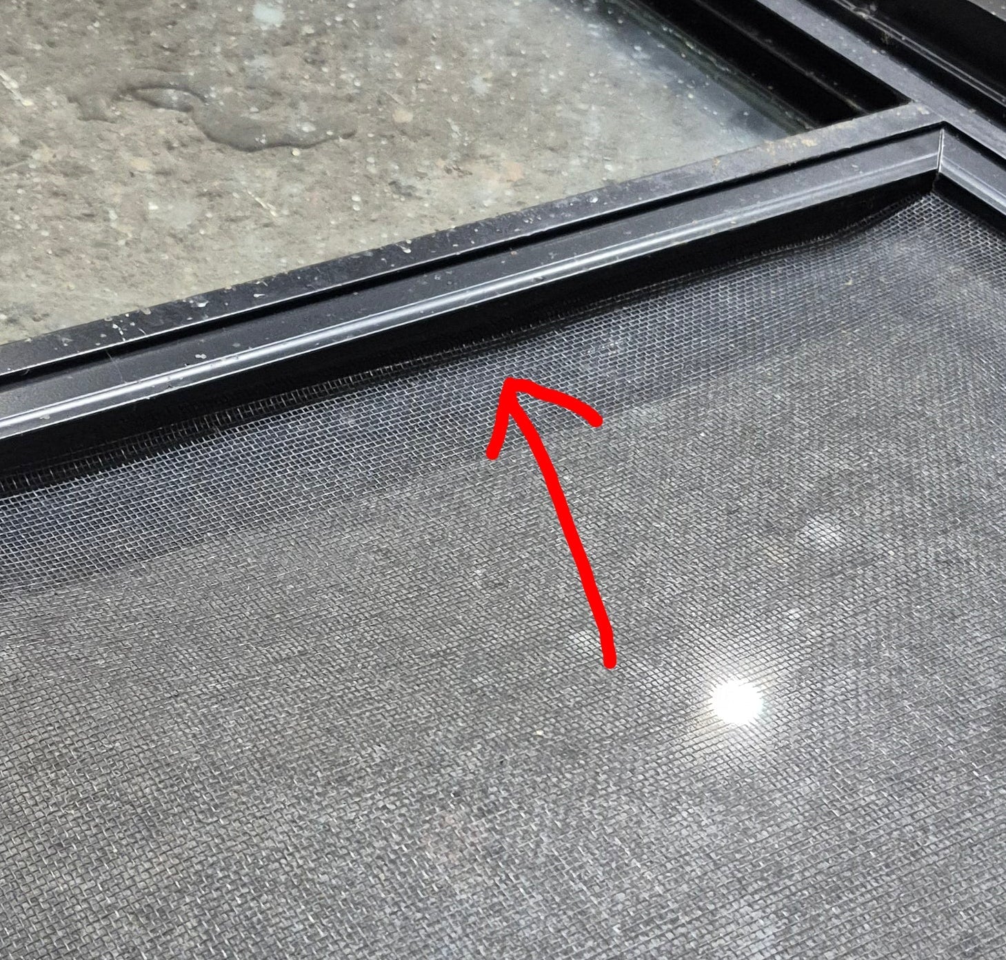 Used Black Radius Opening Window : 48 1/4" W x 35 3/4" H x 1 5/8" D - Image 10