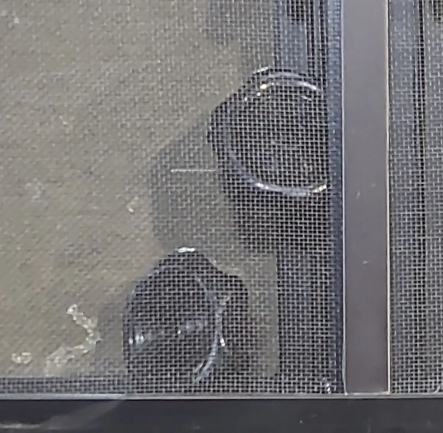 Used Black Radius Opening Window : 59 1/4" W x 21 1/4" H x 1 7/8" D - Image 7