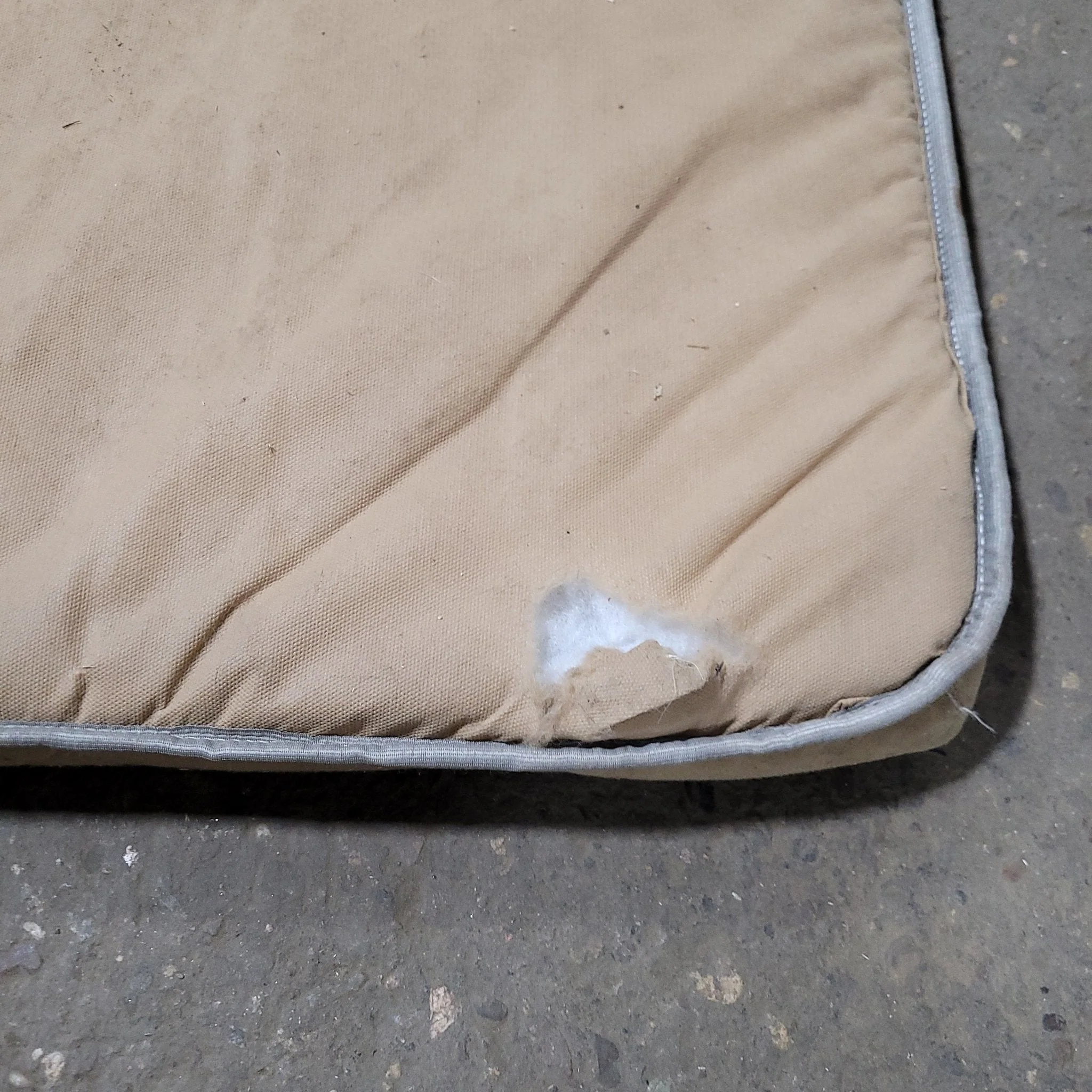 Used Bunk Mattress 71" X 27" X 2" D - Image 3