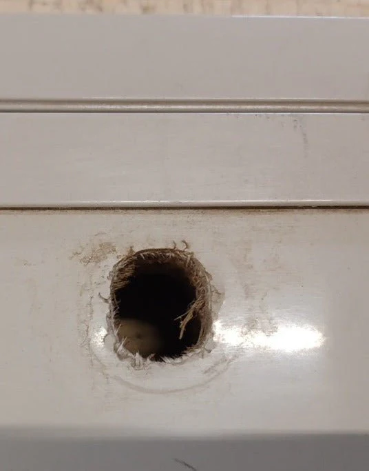 Used Radius Cornered Cargo Door 29 5/8" x 10 7/8" x 1 5/8"D - Image 7