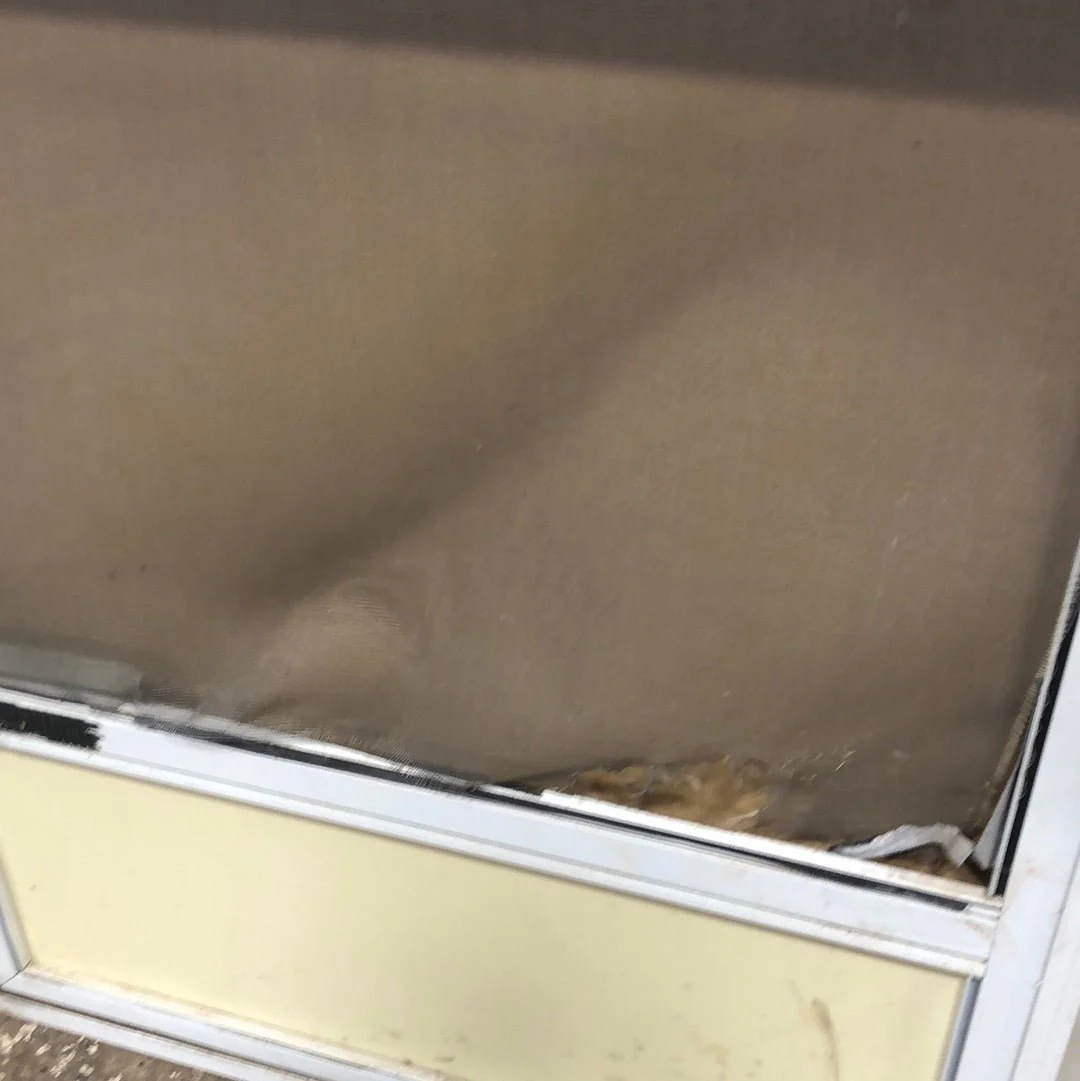 Used Rv Radius Entry Door 24 1/4 x 71 - Image 6