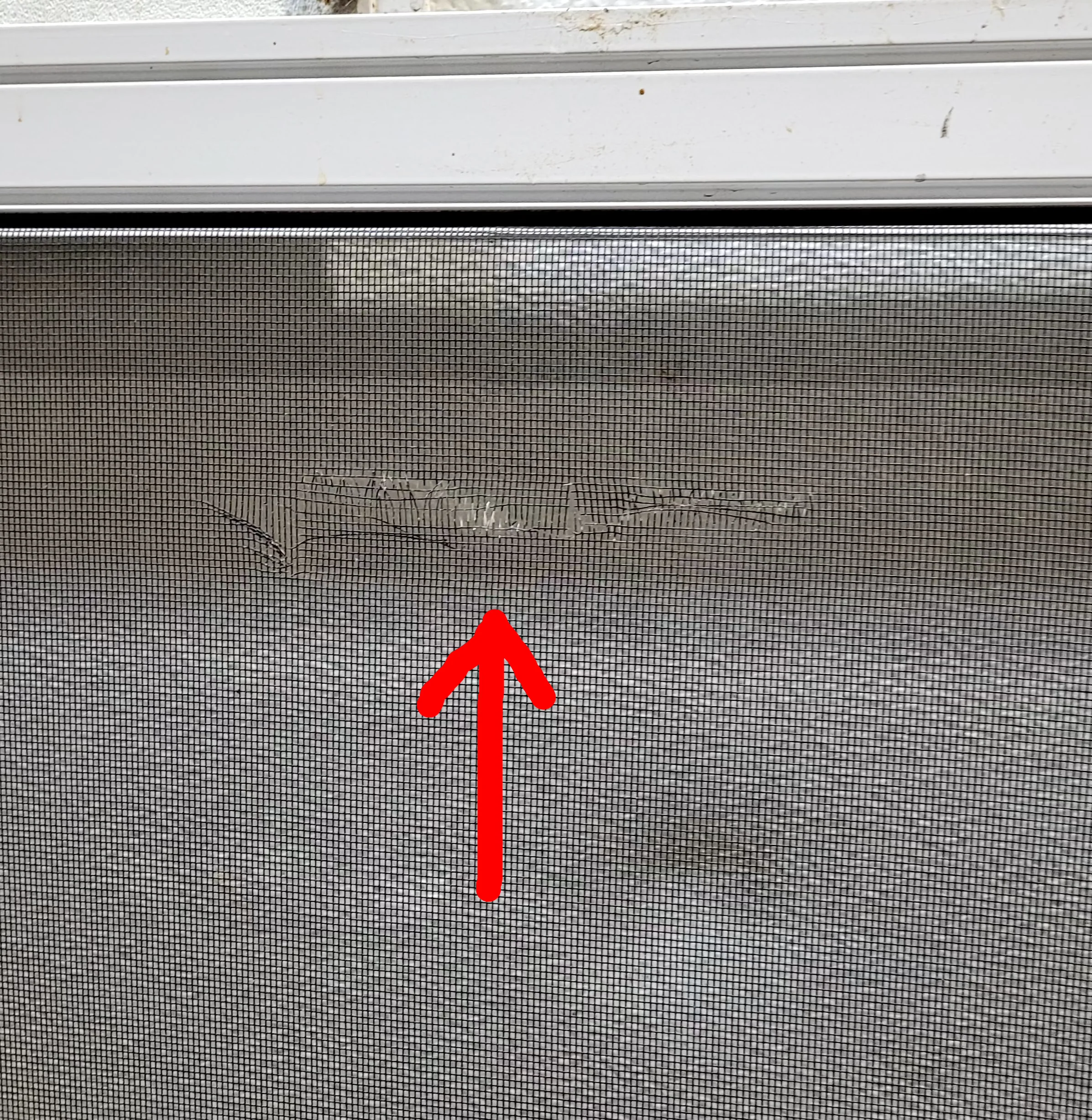 Used RV Radius Entry Door 25 5/8" W x 71 1/2" H - Image 7