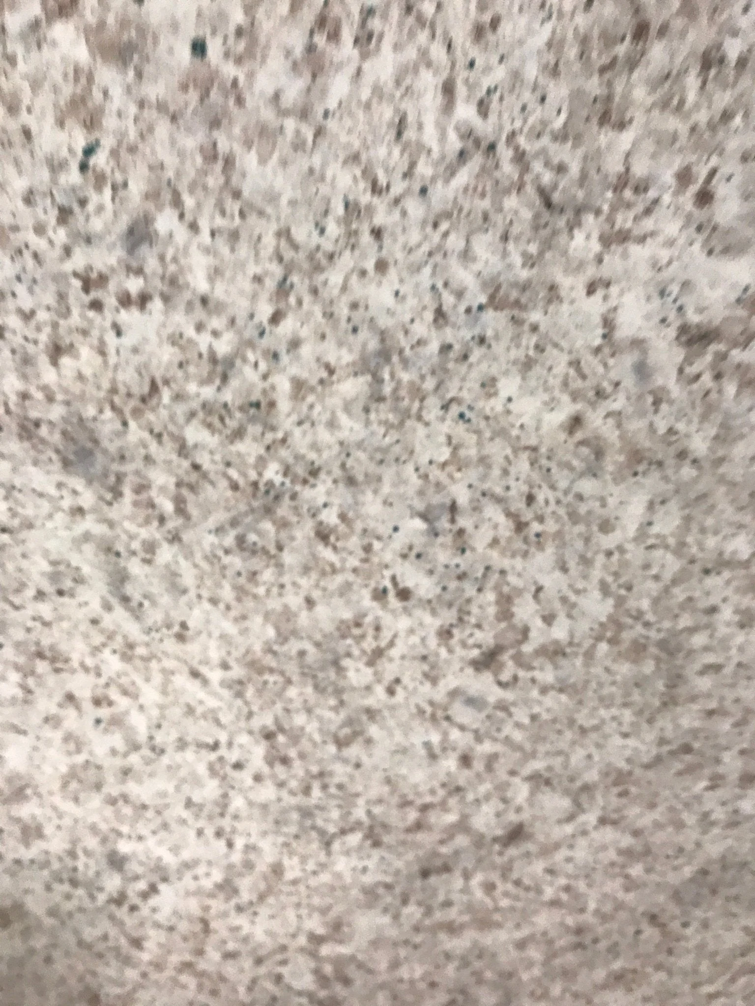 Used RV Table Top 28" x 40" - Image 4