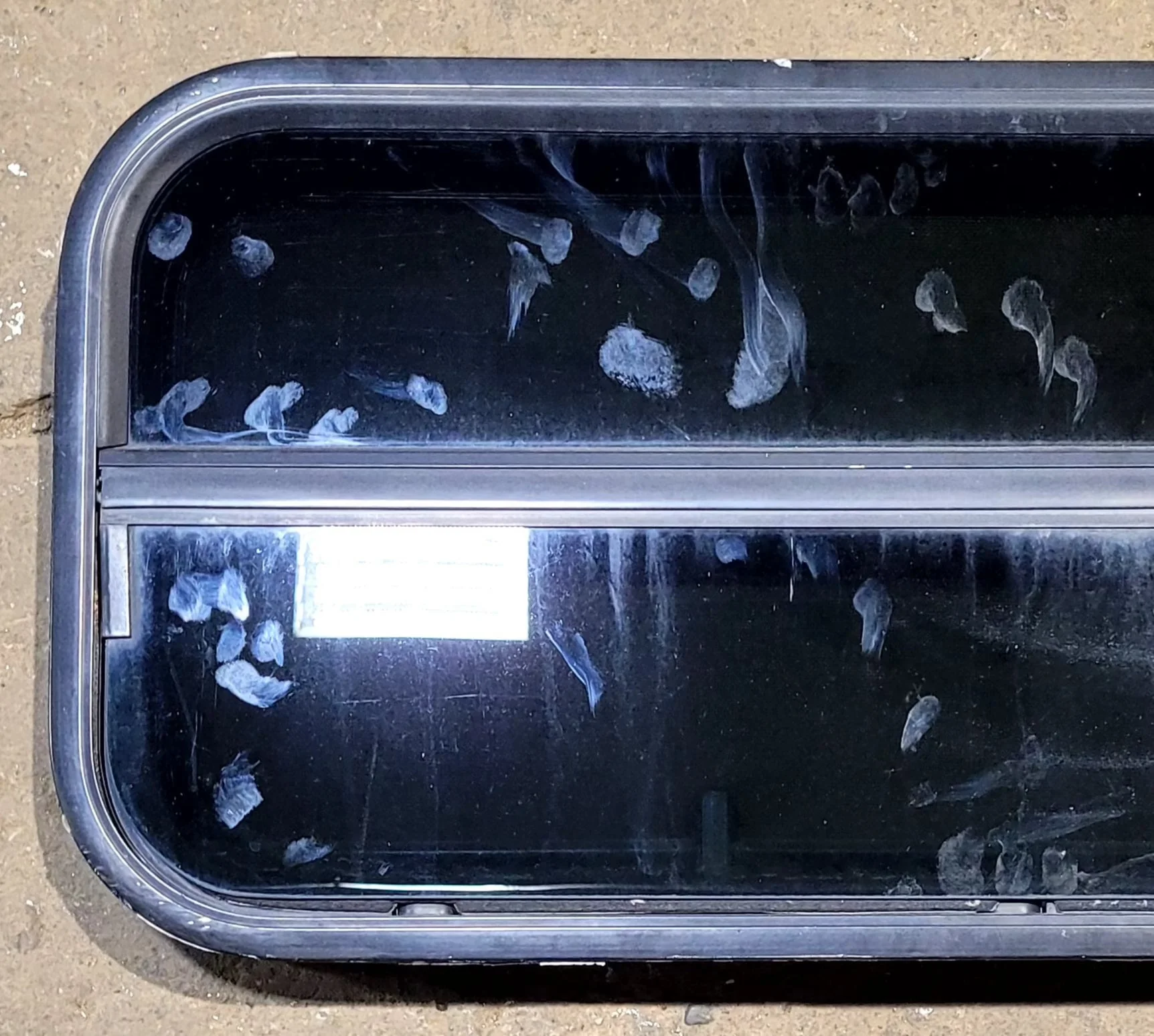 Used Slanted Black Radius Opening Window : 35 1/2" W x 14 3/4" H x 1 1/8" D - Image 3
