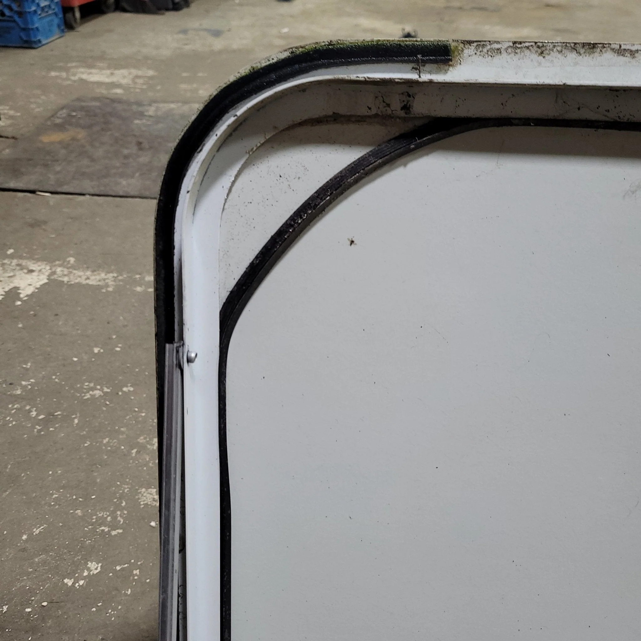 Used White Radius Non-Opening Window With Rock Guard Cover : 47 1/4 X 21 3/4 X 2" D - Image 4