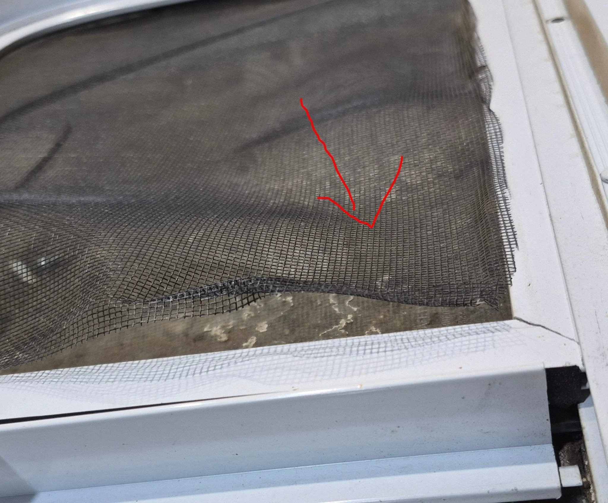 Used White Radius Opening Window : 36 1/4" W x 14 3/4" H x 1 3/4" D - Image 9